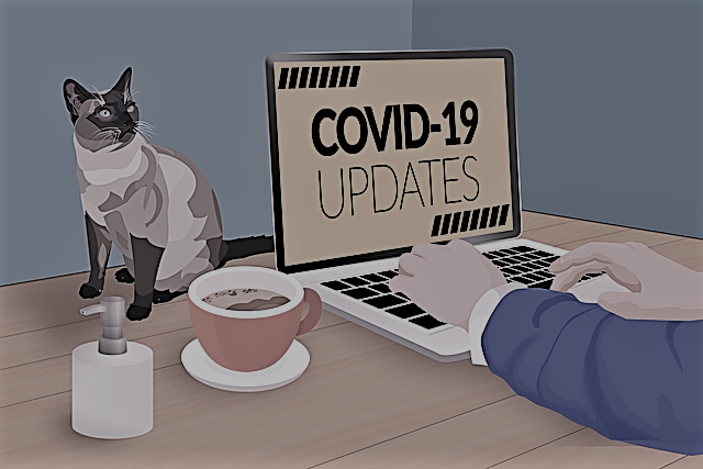 covid-19-g485d94284_640-bear
